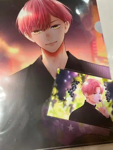 핑크와 하바네로 굿즈