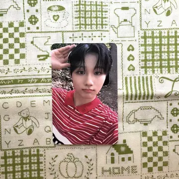 idntt 환희 파니 트레이딩 카드 objekt 204A