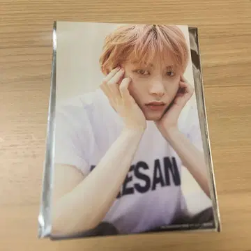 테산 vivi 엽서