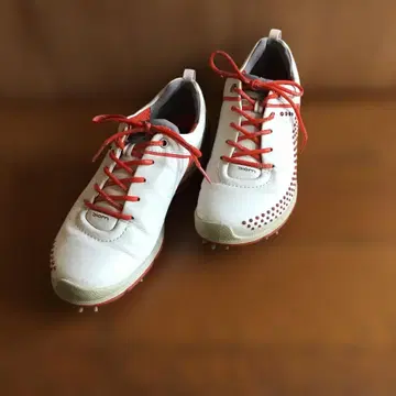에코 여성용 골프화 37 23.0~23.5