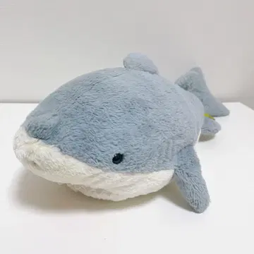 산레몬 무릎 샤크 상어 M 사이즈 60cm