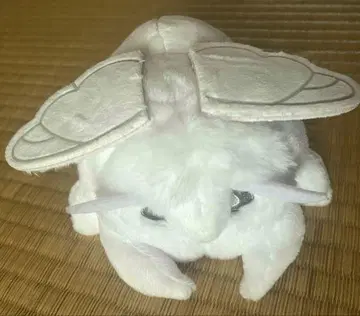 모스가 있는 일상 오빠의 누에나방 봉제 인형