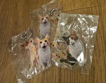 아츠시 채널 아크릴 키링