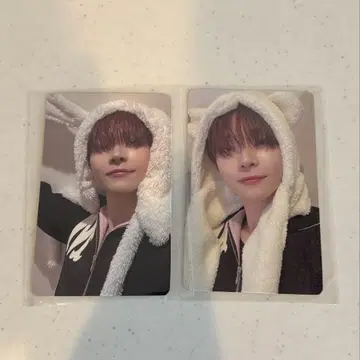 &TEAM 니콜라스 설경 스프사 weverse 인형옷