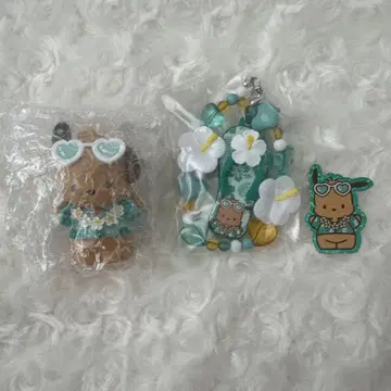 시크릿 트로피컬 바캉스 일광화상 포차코