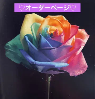 !!마아쨩 님 오더 페이지입니다!!