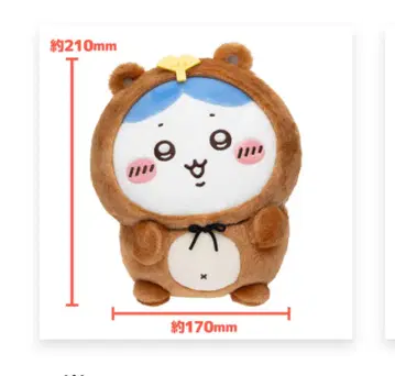 치이카와 너구리다 쿠지 B상 하치와레