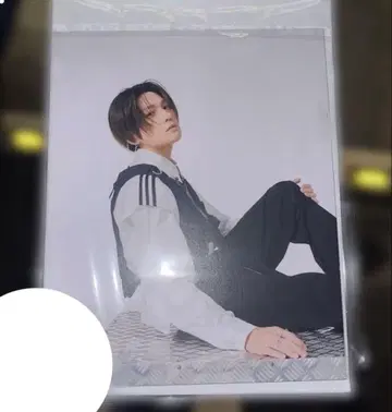 야기 유세이 페파민 패널
