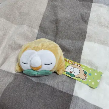 포켓몬 센터 한정 모쿠로 축 늘어진 봉제인형 잘 자 마스코트 레어