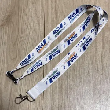ANA 전일본공수 플라잉 호누 A380 라니 카이 롤라 넥스트랩