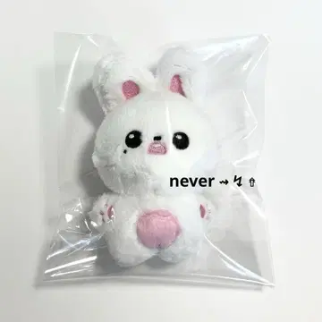 IVE 아이브 원영 봉제 인형 키링 part 1
