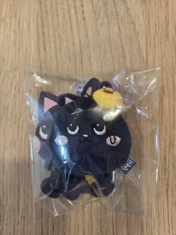 미니 인형 키링 원빈