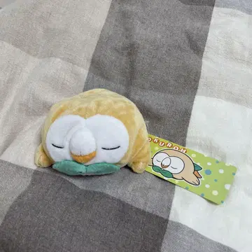 포켓몬 센터 한정 모쿠로 푹신푹신 봉제인형 잘자요 마스코트 레어