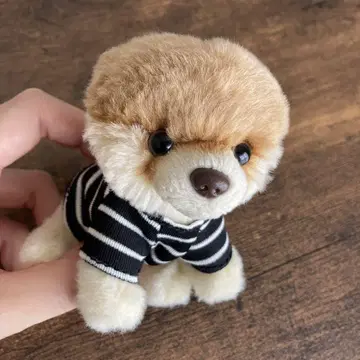 포메라니안 봉제 인형 스트라이프