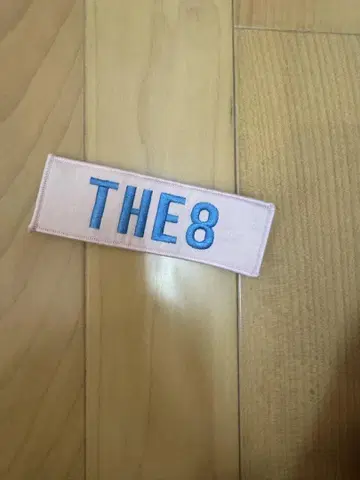 SEVENTEEN THE 8 핀 배지 네임 배지