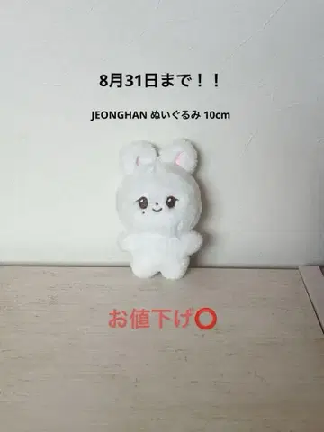 SEVENTEEN JEONGHAN 마스터 봉제 인형 10cm