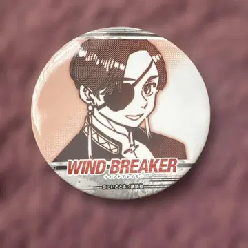 WIND BREAKER 윈드 브레이커 복권 럭키 캔뱃지 스오우 하야토