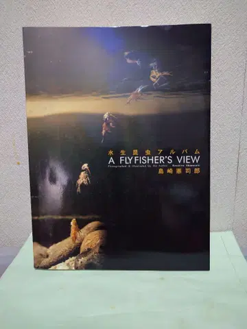 A FLY FISHER'S VIEW 시마자키 켄지로