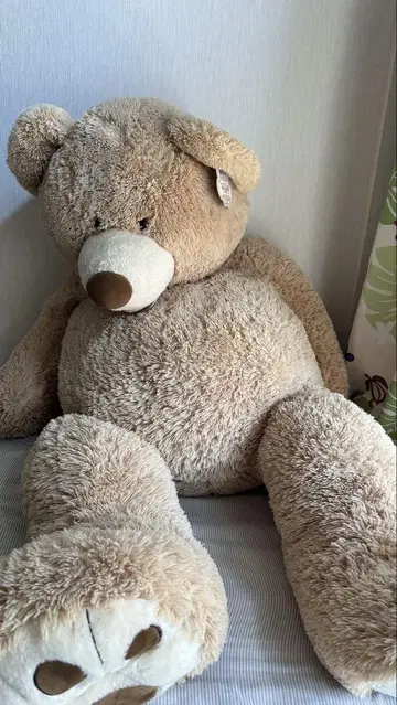 코스트코 봉제 인형