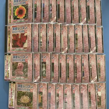 엔카 레슨 DVD 슬라이드 영상 40장 묶음 판매