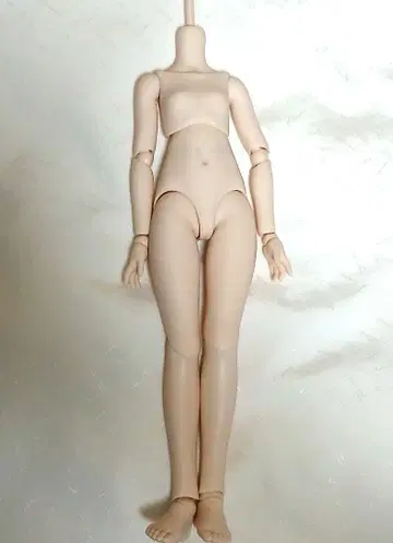 MDD 베이스 바디 2.0 (DD-f3) 세미 화이트