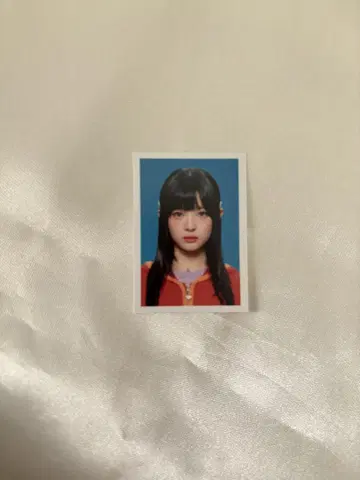 NewJeans 시즌 그리 2024 증명사진 하니
