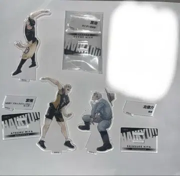 하이큐 크로니클 키타 미야 오사무 미야 아츠무