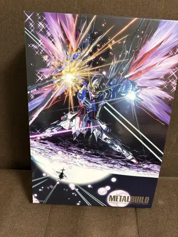 METALBUILD 데스티니 건담 빛의 날개 풀 패키지
