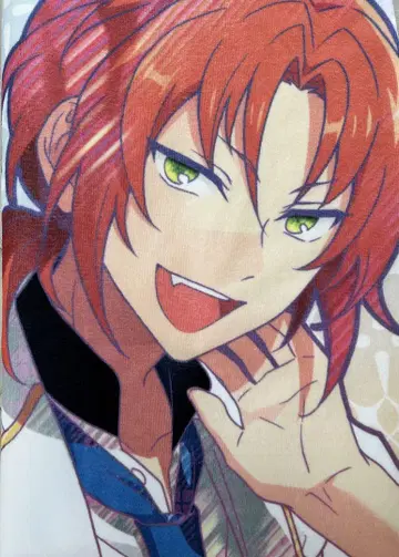 스타포니 빅 비주얼 타월 츠키나가 레오