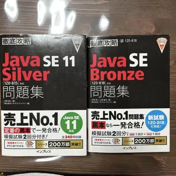Java bronze와 Java silver