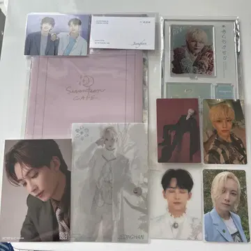 SEVENTEEN 세븐틴 정한