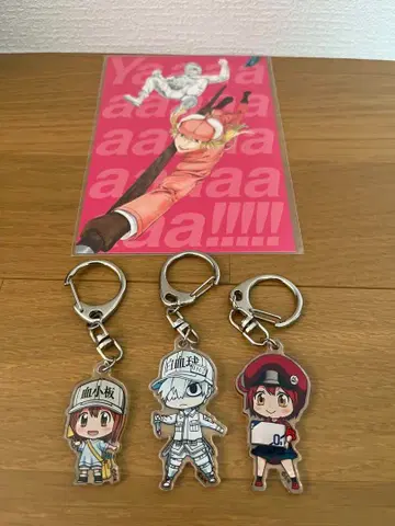 [희소] 혈소판 백혈구 적혈구 아크릴 키링 3세트 일하는 세포