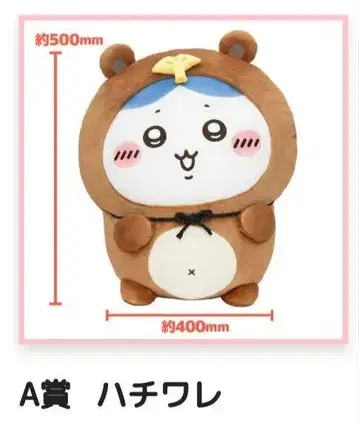 치이카와 너구리인걸 복권 하치와레 A상 약 500mm