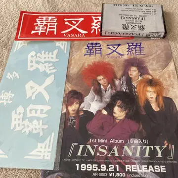 파사라 INSANITY 전단지 카세트