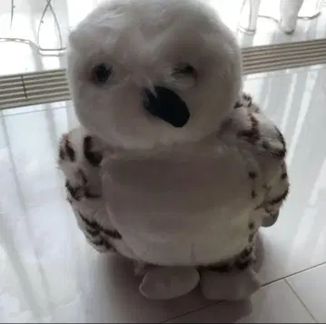 올빼미 봉제 인형