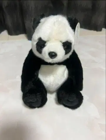 팬더 봉제 인형