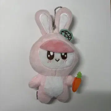 SEVENTEEN 봉봉이 토끼