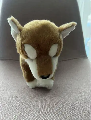 시바견 봉제 인형