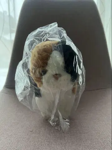 삼색 고양이 봉제 인형 미개봉