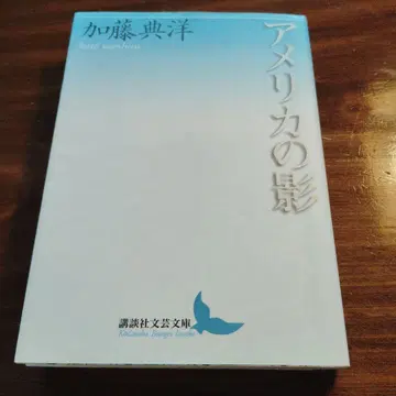 미국의 그림자