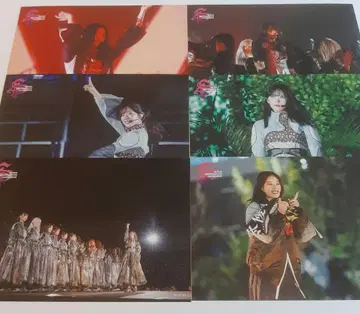사쿠라자카46 4th YEAR 아니라 엽서 6종 세트
