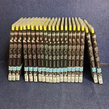 슬프지만, 사랑해 DVD 20권 세트