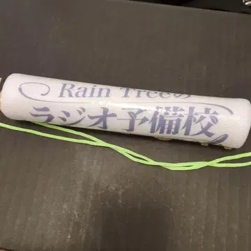 RainTree 라디오 예비교 여름 공개 수업 루미톤
