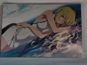 던전에서 만남을 추구하면 안 되는 걸까 월드 전시회