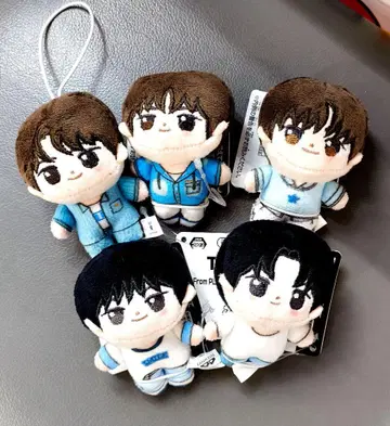 TWS 호와누이 5종류 세트