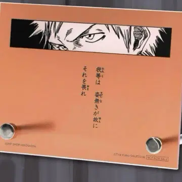 BLEACH 아크릴 플레이트 미니 아크릴 스탠드 쿠로사키 이치고 점프샵