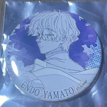 WINDBREAKER TSUTAYA 원화 캔뱃지 타마도 사이토