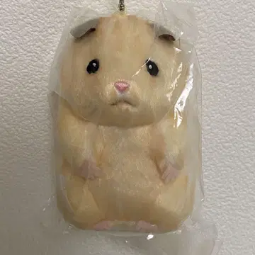 스케로쿠