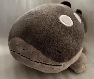 e 포켓몬 도오 눈 감은 봉제 인형
