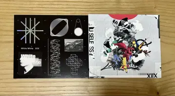 XIIX 앨범 2장 세트